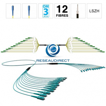 Netkea NTKT12SC.SC.53LTR020 trunk 12 fibres préconnectorisées structure libre renforcée LTR 2 mm 50/125 OM3 SC / SC lg 20 m