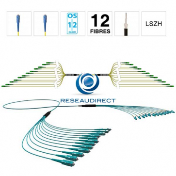 Netkea NTKT12SC.SC.09LTR100 trunk 12 fibres préconnectorisées structure libre renforcée LTR 2 mm 9/125 OS1/OS2 SC / SC lg 100 m