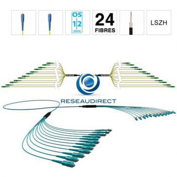 Netkea NTKT24SC.SC.09LTR200 trunk 24 fibres préconnectorisées structure libre renforcée LTR 2 mm 9/125 OS1/OS2 SC / SC lg 200 m