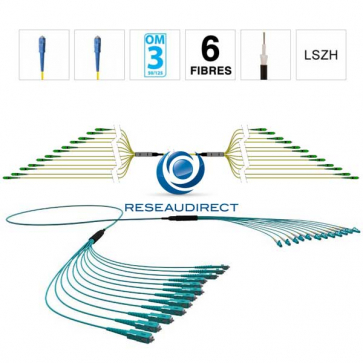 Netkea NTKT06SC.SC.53LTR200 trunk 6 fibres préconnectorisées structure libre renforcée LTR 2 mm 50/125 OM3 SC / SC lg 200 m