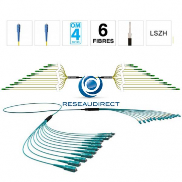 Netkea NTKT06SC.SC.54LTR100 trunk 6 fibres préconnectorisées structure libre renforcée LTR 2 mm 50/125 OM4 SC / SC lg 100 m