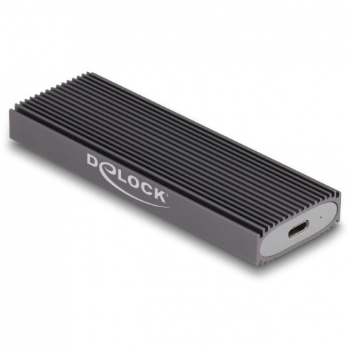 Delock 42019 Boîter externe USB C M.2 SATA SSD ou PCIe