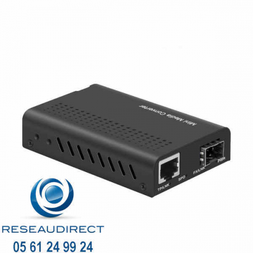 Fiberroad-FR2222-SFP-Mini-convertisseur-10G