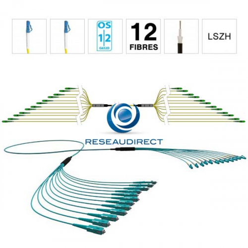 Netkea NTKT12LC.LC.09LTR020 trunk 12 fibres préconnectorisées structure libre renforcée LTR 2 mm 9/125 OS1/OS2 LC / LC lg 20 m