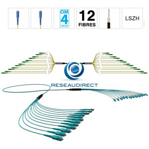 Netkea NTKT12SC.SC.54LTR200 trunk 12 fibres préconnectorisées structure libre renforcée LTR 2 mm 50/125 OM4 SC / SC lg 200 m