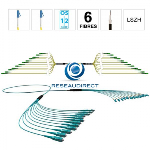 Netkea NTKT06LC.LC.09LTR020 trunk 6 fibres préconnectorisées structure libre renforcée LTR 2 mm 9/125 OS1/OS2 LC / LC lg 20 m